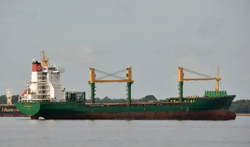 MAESTRA PACIFICO Container Ship IMO 9074406