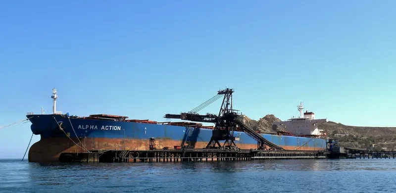 ALPHA ACTION Bulk Carrier IMO 9074494 photo 2