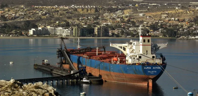 ALPHA ACTION Bulk Carrier IMO 9074494 photo 5