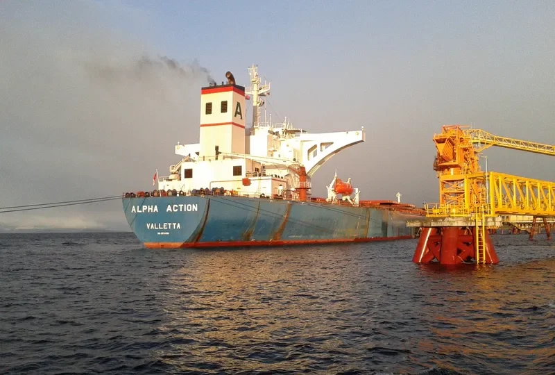 ALPHA ACTION Bulk Carrier IMO 9074494 photo 7