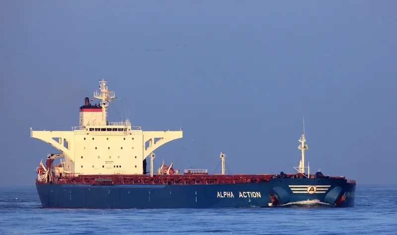 ALPHA ACTION Bulk Carrier IMO 9074494 photo 8