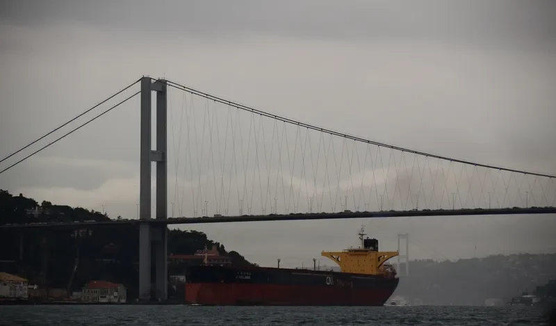 C.POLARIS Bulk Carrier IMO 9074509 photo 6