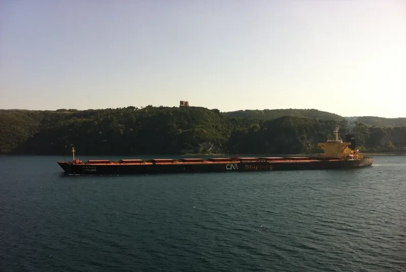 C.POLARIS Bulk Carrier IMO 9074509 photo 7