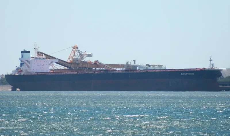 WISE I Bulk Carrier IMO 9074523 photo 7