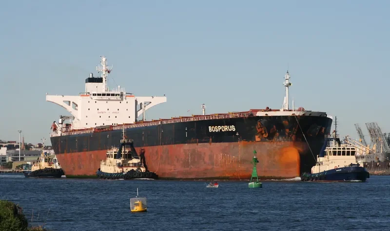 WISE I Bulk Carrier IMO 9074523 photo 9