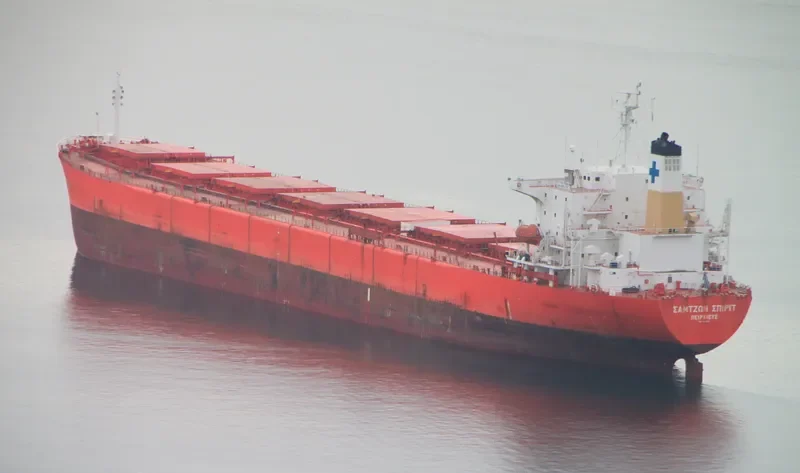 SAMJOHN SPIRIT Bulk Carrier IMO 9074676 photo 3