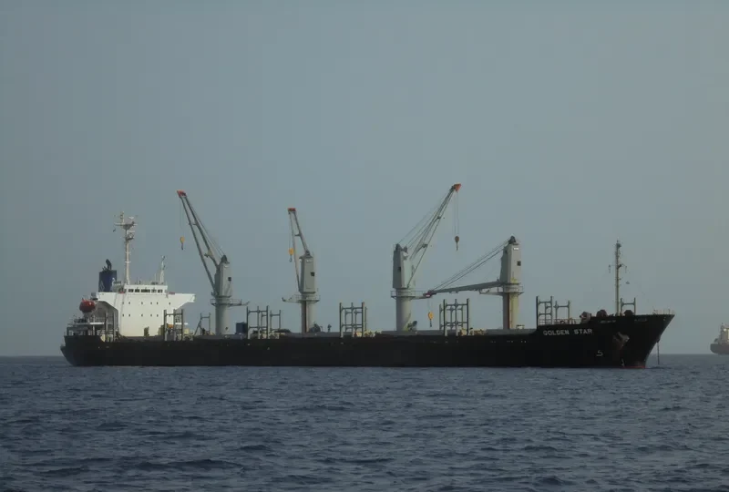 OCEAN STAR Bulk Carrier IMO 9074690 photo 2