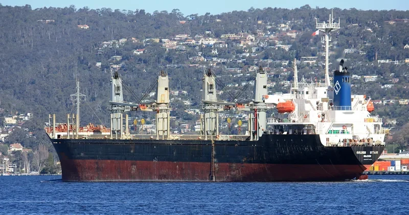 OCEAN STAR Bulk Carrier IMO 9074690 photo 4