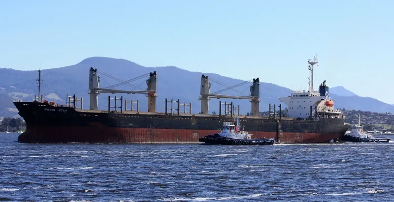 OCEAN STAR Bulk Carrier IMO 9074690 photo 5