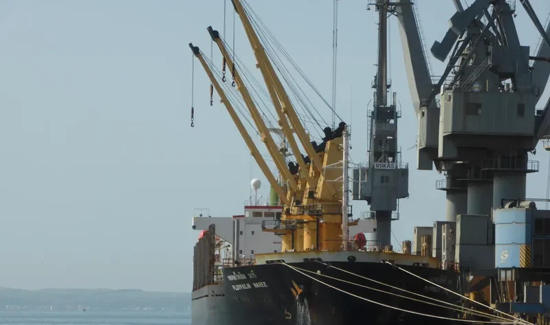 PLOYPAILIN NAREE Bulk Carrier IMO 9074717 photo 2