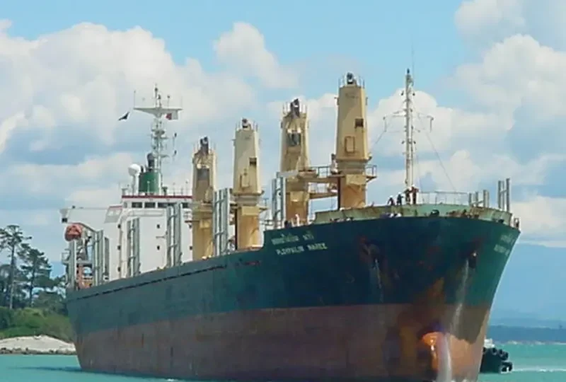 PLOYPAILIN NAREE Bulk Carrier IMO 9074717 photo 8