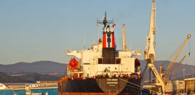 THOR ENERGY Bulk Carrier IMO 9074781