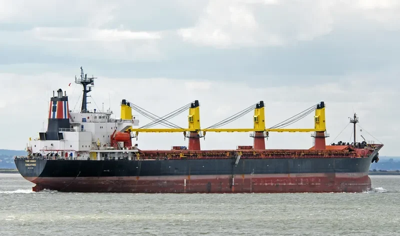 THOR ENERGY Bulk Carrier IMO 9074781 photo 7