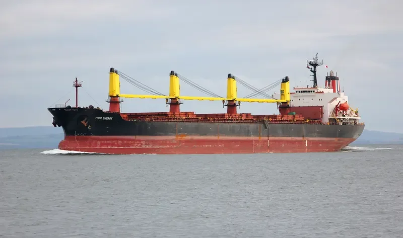 THOR ENERGY Bulk Carrier IMO 9074781 photo 9
