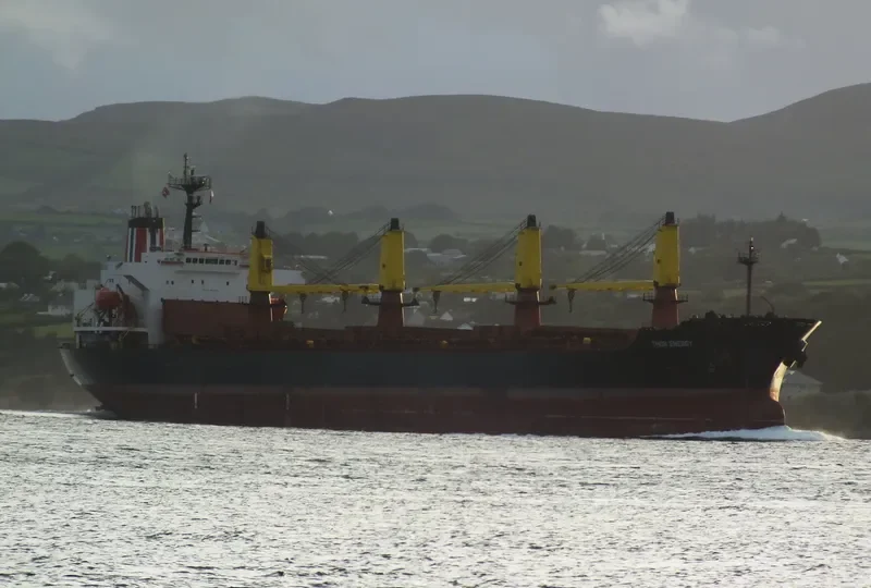 THOR ENERGY Bulk Carrier IMO 9074781 photo 10