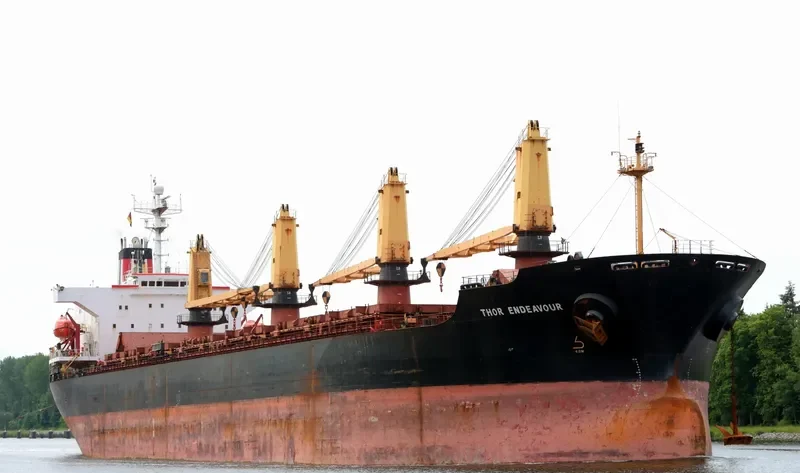 OCEANA SUN Bulk Carrier IMO 9074793 photo 5