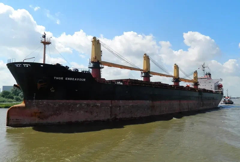 OCEANA SUN Bulk Carrier IMO 9074793 photo 7