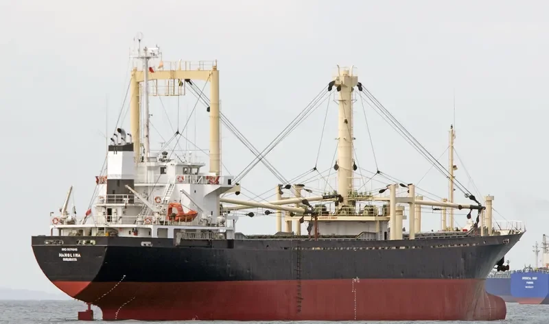 HANGLIMA General Cargo IMO 9074846 photo 3
