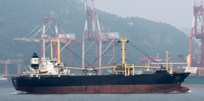 HANGLIMA General Cargo IMO 9074846 photo 5