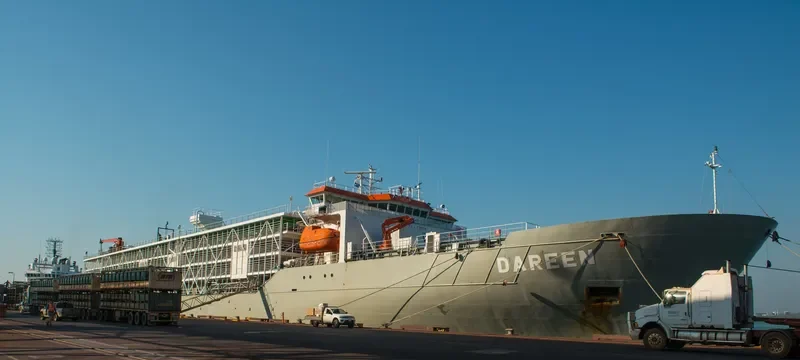 DAREEN General Cargo IMO 9074913 photo 2