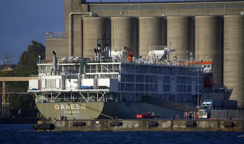 DAREEN General Cargo IMO 9074913 photo 5