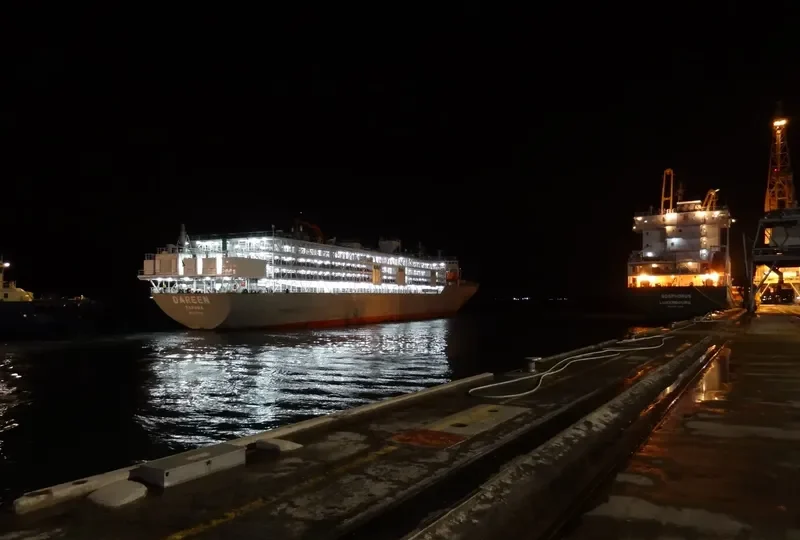 DAREEN General Cargo IMO 9074913 photo 7