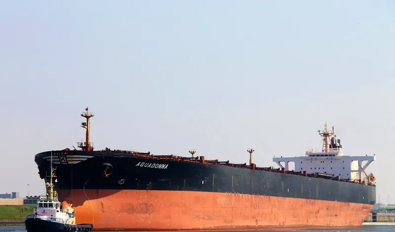 AQUADONNA Bulk Carrier IMO 9075668 photo 2