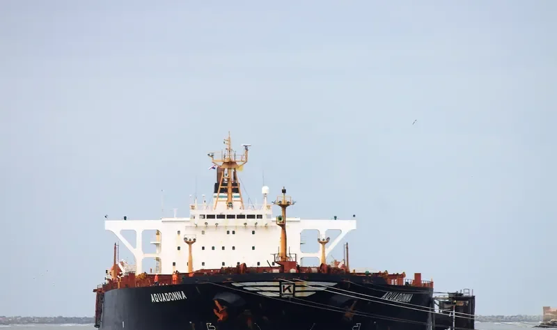 AQUADONNA Bulk Carrier IMO 9075668 photo 5