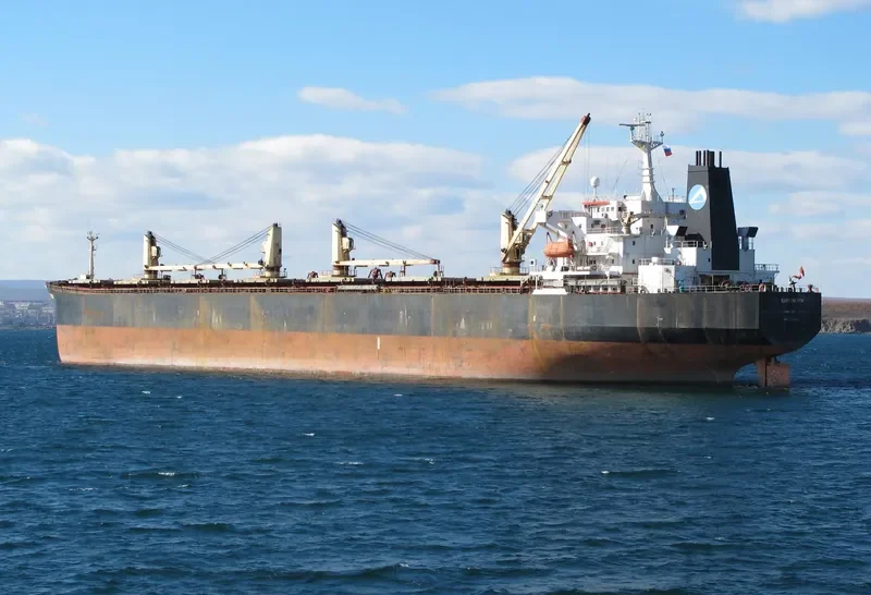 EASTERN VIEW Bulk Carrier IMO 9075682 photo 2