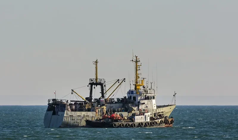 MYS ODYAN General Cargo IMO 9075838