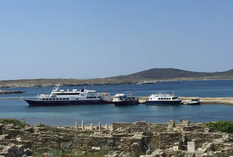 DELOS EXPRESS Passenger Ship IMO 9075864 photo 6