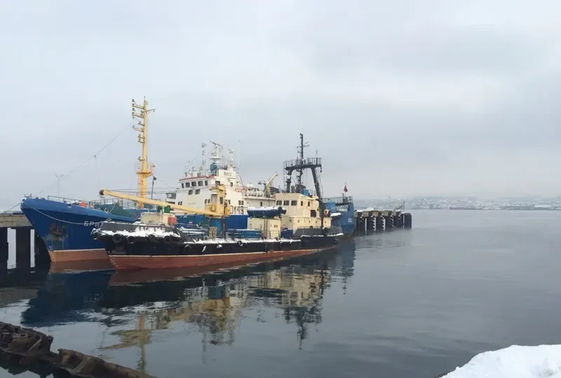 BRIZ General Cargo IMO 9076234