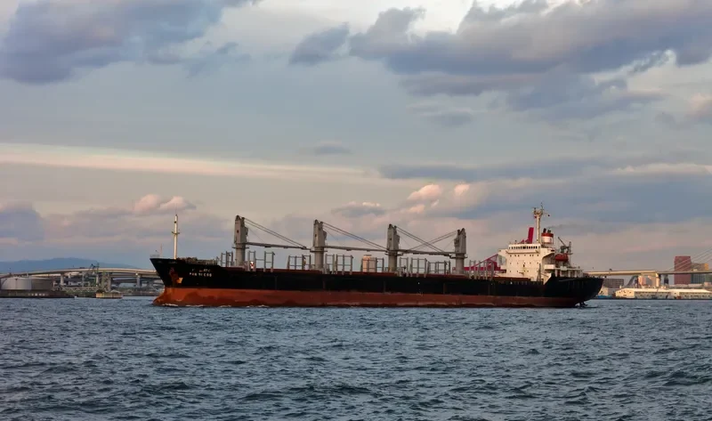 AMSEL Bulk Carrier IMO 9076387 photo 9