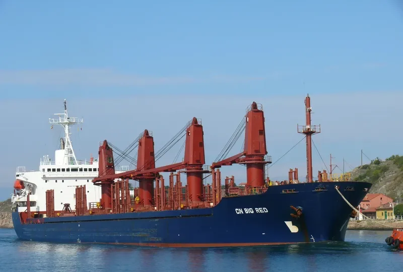 WINCA Bulk Carrier IMO 9076399 photo 2