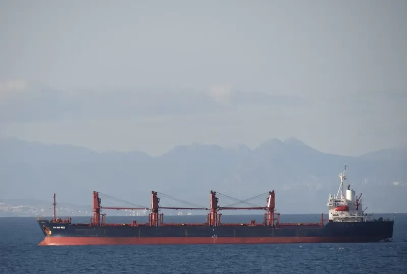 WINCA Bulk Carrier IMO 9076399 photo 4