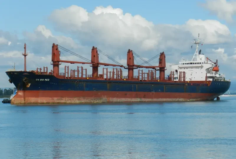 WINCA Bulk Carrier IMO 9076399 photo 6