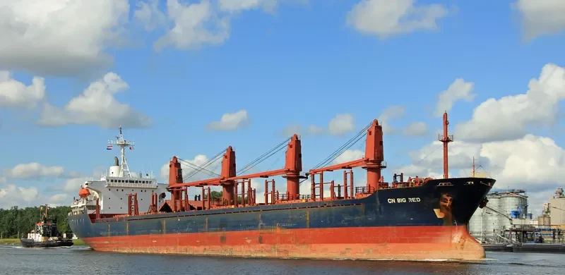 WINCA Bulk Carrier IMO 9076399 photo 10
