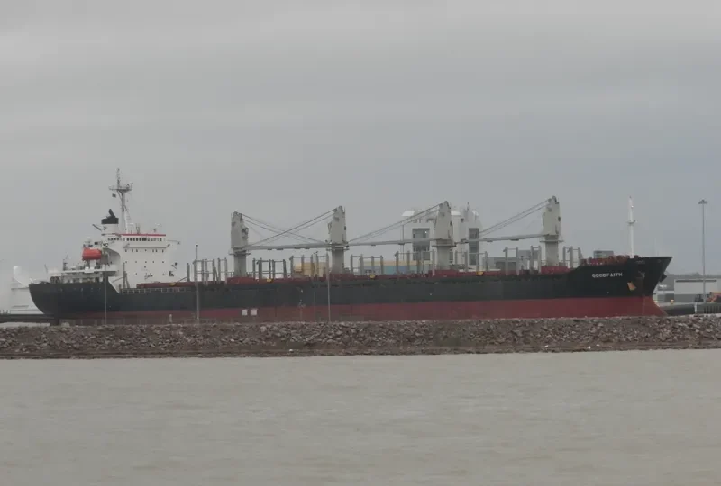 GOODFAITH Bulk Carrier IMO 9076404 photo 10