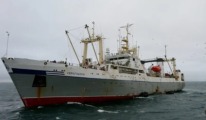 SEROGLAZKA General Cargo IMO 9076454 photo 3