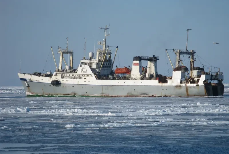 SEROGLAZKA General Cargo IMO 9076454 photo 6