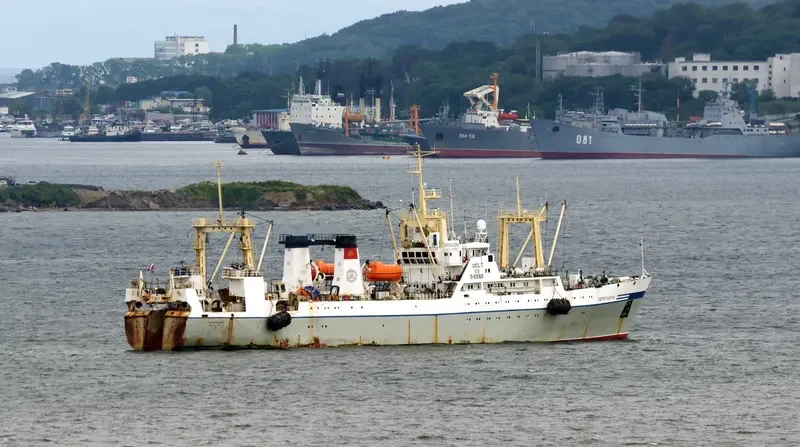 SEROGLAZKA General Cargo IMO 9076454 photo 8