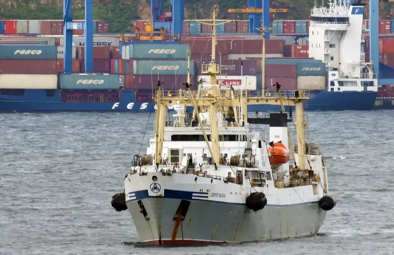 SEROGLAZKA General Cargo IMO 9076454 photo 10