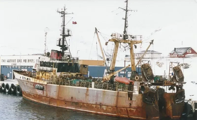 DISTINKT General Cargo IMO 9076636