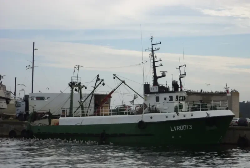 BRAVO General Cargo IMO 9076674 photo 4