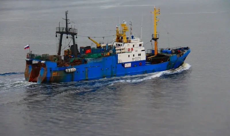 CHERNIGOV General Cargo IMO 9077020