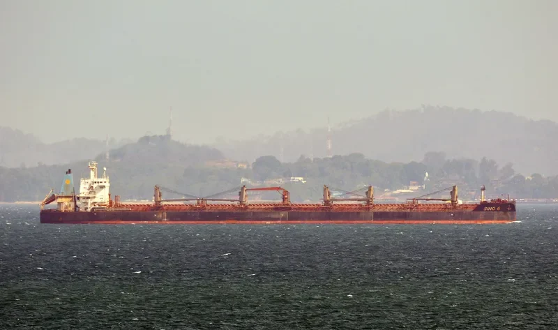 SINO 6 Bulk Carrier IMO 9077111