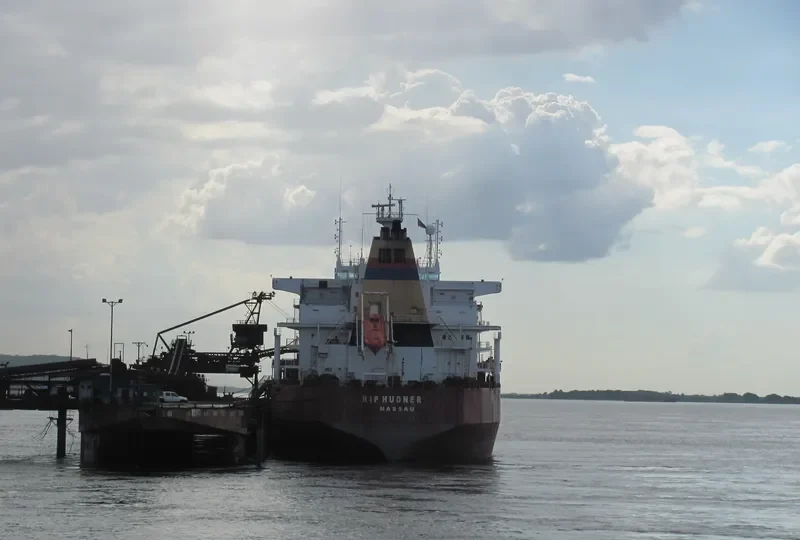 SINO 6 Bulk Carrier IMO 9077111 photo 2