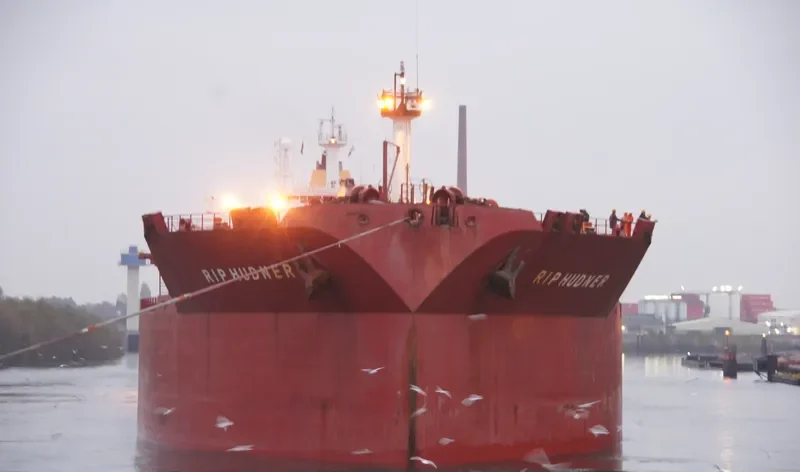 SINO 6 Bulk Carrier IMO 9077111 photo 3