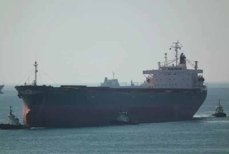 THE CREATOR Bulk Carrier IMO 9077226 photo 5
