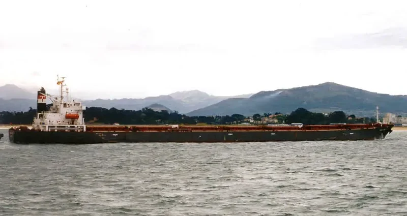 THE CREATOR Bulk Carrier IMO 9077226 photo 7